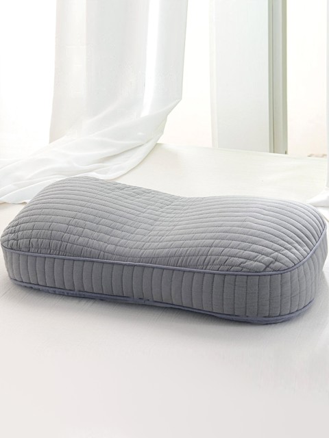 Natural and Pollution Free Buckwheat Pillow