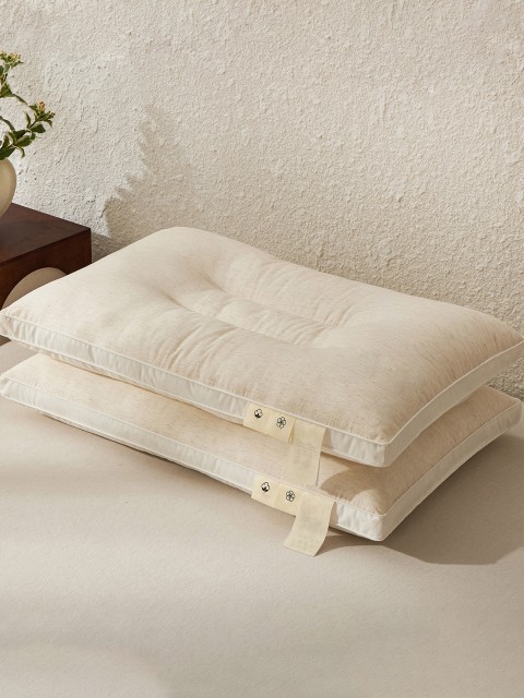 Pillow Insert